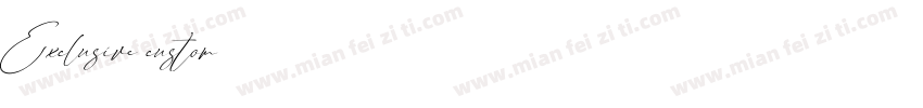 Exclusive custom字体转换